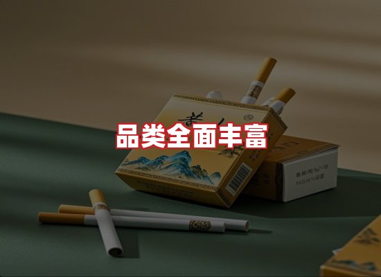 专业团队